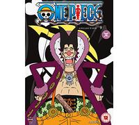 One Piece (Uncut) Collection 9 (Episodes 206-229) [DVD]
