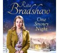 one snowy night (audiolibro)