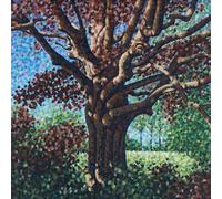 One Step Closer - Songs For The Willow - Vinyle Transparent [Vinilo]