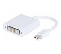 Onedirect Convertidor mini DisplayPort 1.1 a DVI-D Convertidor mini DP, formato de plástico y color blanco
