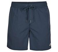 O'Neill Vert Swim 16" Shorts