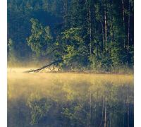 Oneirogen - Plenitude [VINYL] [Vinilo]