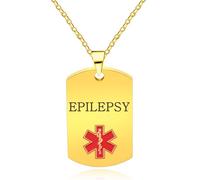 Oneress Collar Epilepsia ID, Colgante Minimalista Chapado Oro, Chapa Convulsiones Acero Para Mujeres YA5217 Gold EPILEPSY