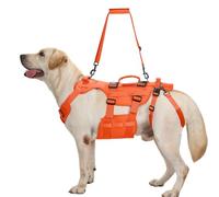 OneTigris Arnés de elevación, Invictus Apoyo Arnés Perro para Perros Medianos y Grandes, Arnés de Seguridad con 3 Mangos, Correas de hombro ajustables desmontables y correas traseras para las piernas