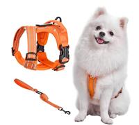 OneTigris Arnés Set para Perros Pequeños, ANTZ Arnes Táctico para Perros y Correa, Arnés para Perro con Asa para Mini Perro Pequeño, Perro Mediano como Chihuahua, Perro Wiene, Naranja, XXS