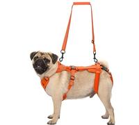 OneTigris Hopper - Arnés para perro, pequeño soporte ajustable con 2 asas para soporte y rehabilitación, apto para perros pequeños, naranja, S