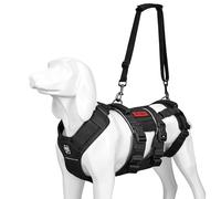 OneTigris SKYEWALKER - Arnés para perros ajustable con 2 asas para elevación y rehabilitación, adecuado para perros medianos y grandes, negro, M