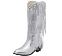 Onewus Botas altas hasta la rodilla para mujer con borlas y tacones gruesos, plata, 38 EU