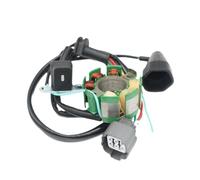 onhyuxng Bobina de estator Compatible for Compatible for KX 250 F KX250F 2004-2010 Compatible for RM-Z 250 05-06 Magneto Coil 21003-0015 K2100-30027 6 bobinas AC-DC RMZ25 Pieza de Motocicleta