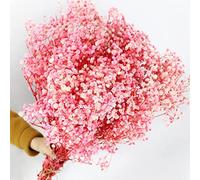 Oning 17,2" Rosa Gypsophila Seca Flores Verdaderas Secas Más de 2000 Botones de Flores Gypsophila Natural Ramo de Flores Secas para Boda de Novia Casa Jarrones Decoración Tarjeta de Felicitación