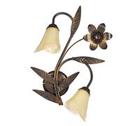 ONLI 4230/Ap2 Esta lámpara clásica y de líneas simples y definidas decorar con estilo y sencillez sus espacios. Perfecta para t, ámbar, 2 luces