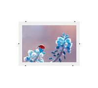 Online-GalleryKing Marco de fotos sin marco, marco con clips, 45 x 31 cm, con cristal acrílico antirreflectante y parte trasera de madera MDF, fotos, pósteres, collage, marcos, todos los tamaños