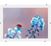 Online-GalleryKing Marco de fotos sin marco, marco con clips, 64 x 23 cm, con cristal acrílico antirreflectante y parte trasera de madera MDF, fotos, pósteres, collage, marcos, todos los tamaños