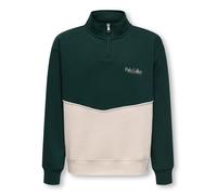 Only & Sons Junior Sudadera 'OSJCeres' beige / pino 170-176 EUR