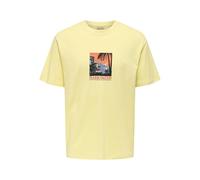 ONLY & SONS Onsbeane Rhaba SS RLX tee, Flan, L