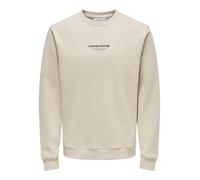 ONLY & SONS ONSCURATED REG Crew Neck Sweat, Forro Plateado., L