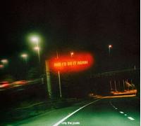 and i'd do it again -Vinilo