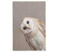 OnlyWow© Alfombra Salon Rectangular 80x120 cm Redondas Rugs For Living Room Grande Pelo Corto Comedor Alfombrilla XXL Absorbente De Sonido Búho - Marrón - Blanco