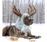 Onmygogo Divertidos Disfraces de Reno para Mascotas, Bonita Peluca Peluda para Halloween, Navidad, Accesorios de Ropa para Mascotas (Alce, Talla M)