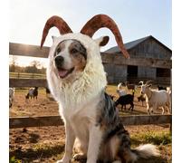 Onmygogo Divertidos disfraces para mascotas de Reideer para perro, bonita peluca peluda para Halloween y Navidad, accesorios de ropa para mascotas (cabra, M)