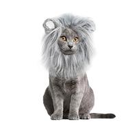 Onmygogo Peluca de Melena de león para Gatos y Perros, Divertidos Disfraces de Gato para Halloween, Navidad, Accesorios de Ropa para Mascotas peludas (M, Gris)