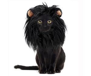 Onmygogo Peluca de Melena de león para Gatos y Perros, Divertidos Disfraces de Gato para Halloween, Navidad, Accesorios de Ropa para Mascotas peludas (M, Negro)