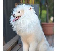 Onmygogo Peluca de Melena de león para Perros con Orejas, Divertidos Disfraces para Mascotas para Halloween, Navidad (L, Blanco)