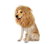 Onmygogo Peluca de melena de león para perros con orejas, divertidos disfraces para mascotas para Halloween Navidad (M, amarillo)