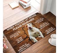 OOAXBEED Bull Terrier Dog Welcome Front Door Floor Entrance Mats Outdoor Kitchen Bathroom Doormat Garden Carpet Rug-24x36 Inch