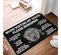 OOAXBEED Cuando visites mi casa, Recuerda: Felpudo Antideslizante para Perro, para baño, Cocina, jardín, Garaje, Puerta de Entrada.-16x24 Inch