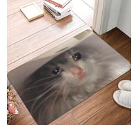 OOAXBEED Felpudo Antideslizante con Memes de Gatos tristes y Yee-Haw, Alfombra antidesgaste para la Entrada de la Cocina, el balcón y el hogar.
