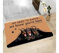OOAXBEED Felpudo de Animales de Moda. No Necesitas Llamar. Sabemos Que estás aquí. Felpudos de Bienvenida de dóberman. Felpudo de Franela para Interior. Decoración del hogar.