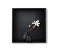 OOMRNV Nicho De Ducha De Acero Inoxidable, Mampara Empotrada para Baño, Armario Empotrado De Metal, Resistente Al Agua, Ideal para Mejorar El Hogar, Dorado,Black