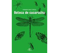 OOTECA DE CUCARACHA (DIBUJAR ESPACIOS)