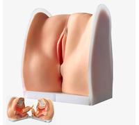 Opaeroo Modelo Anatómico De La Vagina Humana Modelo De Órgano Reproductivo Femenino, Regalos De Útero Modelos De Enseñanza Médica Ginecología Médico Paciente Simulación De Comunicación