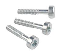 Opatiny Paquete de 3/10 tornillos de silenciador de arranque de retroceso D5x24 FS90R FS55 HS46 BG45 KM90 FR480 SH85 HT131 FC75 HL95 SP85 piezas de cortador de setos