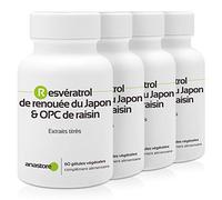 OPC DE UVA Y RESVERATROL * OFERTA 3+1 GRATIS * 60 mg / 240 cápsulas * Titulado al 95% en proantocianidinas y al 50% en resveratrol * Antioxidantes, Cardiovascular (circulación), Próstata.