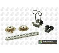 Opel Cascada B20DTH 2.0 Motor Diésel BGA TC6505FK Regulador Cadena Kit Nuevo