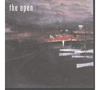 OPEN (2000'S ARTIST) - NEVER ENOUGH 7 INCH (7" VINYL 45) UK LOOG 2004