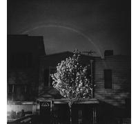 Open City - Hands In The Honey Jar [Vinilo]