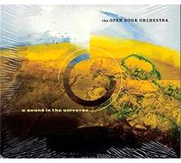 Open Door Orcherstra - Sound in the Universe
