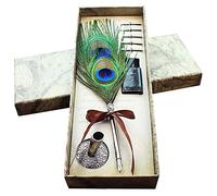OPENDGO Pluma de pavo real pluma de caligrafía pluma antigua y juego de tinta con 5 puntas soporte de metal para principiantes, regalo de cumpleaños y boda