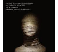 Bill Laswell - The Acid Lands