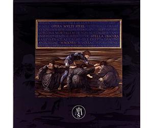 Opera Multi Steel - Stella Obscura [Vinilo]