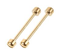 Operitacx 2 Piezas Pasadores Actualización Pulsera Inoxidable de Acero Estructura de de Reloj de Tornillo Ranurado para Reparación y Doradas de Correas