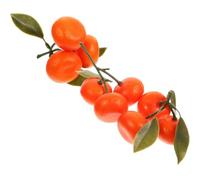 Operitacx 3 Piezas Naranja Artificial Decorativa de Plástico Hojas, Modelo Realista para Decoración de Escaparates y Celebraciones Infantiles, Tamaño Adecuado para Mesa