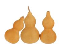 Operitacx Calabazas Decorativas Naturales 3 Piezas 9-12 CM para Fiestas y Manualidades, Adornos de Escritorio para Decoración del Hogar