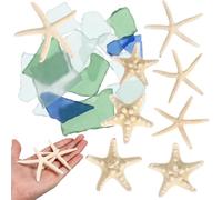 Operitacx Conjunto de Piezas de Vidrio Marino Forma de Estrella y Conchas para Decoración Náutica y Relleno de Jarrones en Acuarios y Espacios del Hogar