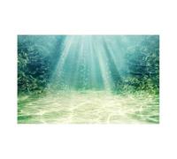 OPIGJUFD Fondo Acuario Póster de Fondo Acuario 3D, Pegatina Adhesiva PVC, Tanque Peces, Mundo Submarino, telón, Plantas Marinas oceánicas Fondo Decorativo(White,54x122cm)