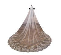 OPIGJUFD Velo de novia Velo de novia encaje con apliques lentejuelas y peineta estilo catedral Para una boda(Color-12,400cm)